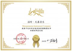温岭 · 天慕音乐· 美索吉他代理商