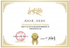 武汉江夏·杰艺音乐·美索吉他代理